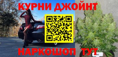 мдпв Славгород