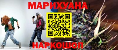 мдпв Славгород