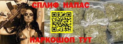 мдпв Славгород
