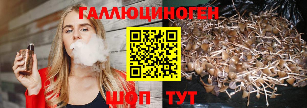 Псилоцибиновые грибы прущие грибы Новокубанск