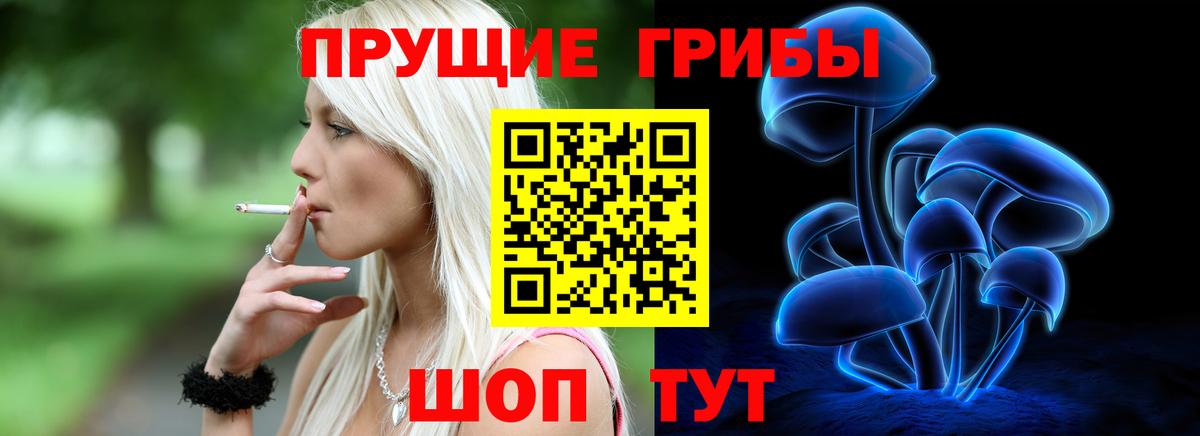 Новокубанск  Псилоцибиновые грибы прущие грибы  где купить наркотик  Вход с VPN 